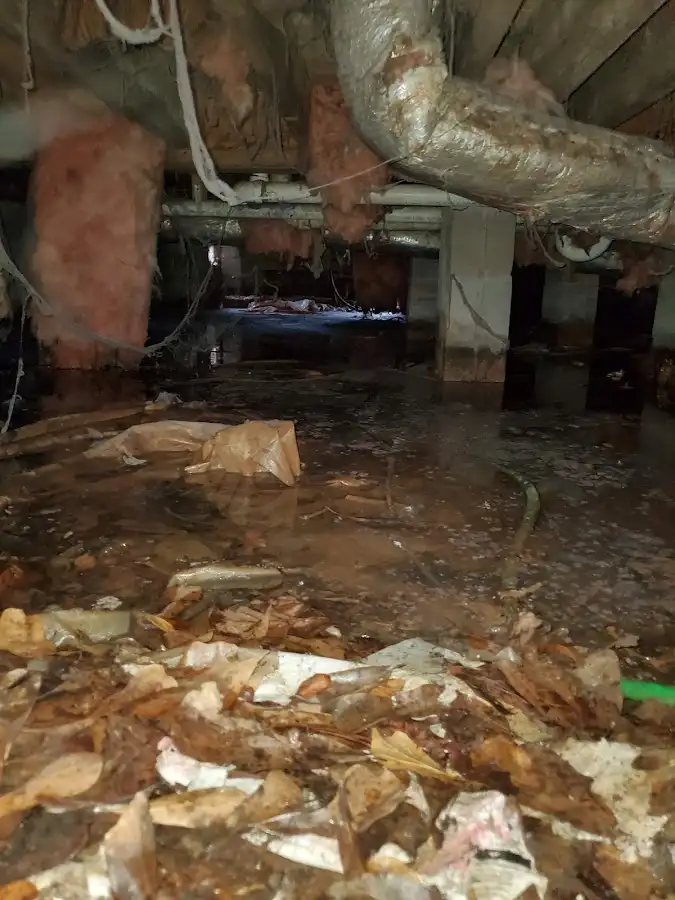 Crawl space flood assessment for Commercial Water Damage Restoration in Grand Haven