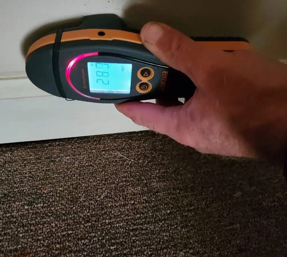 Moisture detection at baseboard during Burst Pipe Cleanup in Grand Haven